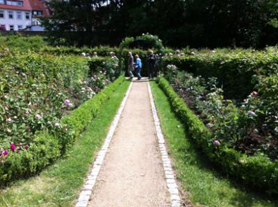 im weißen Garten von Hildesheim